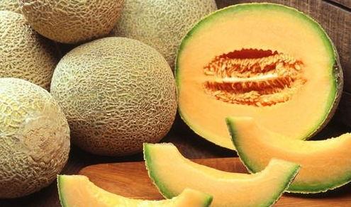 哈密瓜餐厅免费吃音乐,免费音乐盛宴，尽享美食与旋律的完美邂逅